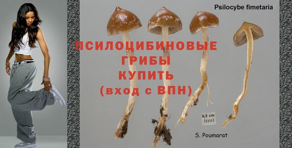 шишки Горняк