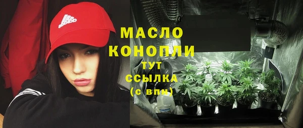 твердый Гусев
