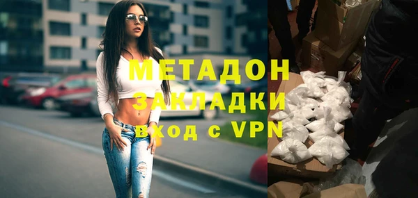 шишки Горняк