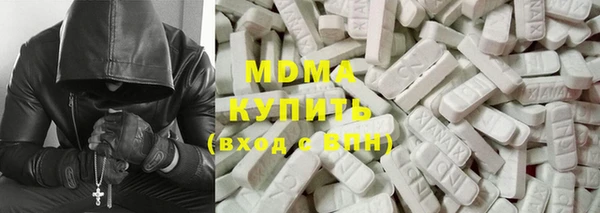 шишки Горняк