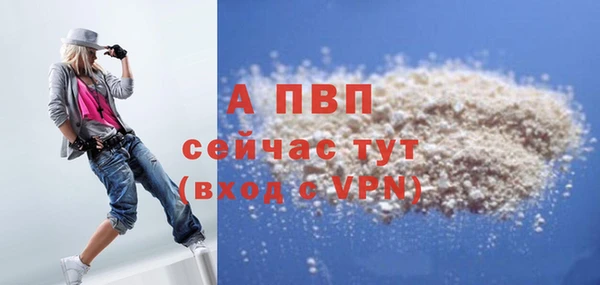 ПСИЛОЦИБИНОВЫЕ ГРИБЫ Гусь-Хрустальный