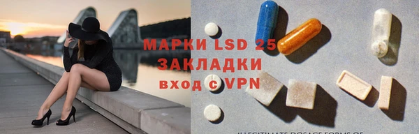 твердый Гусев