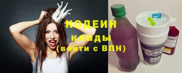 твердый Гусев