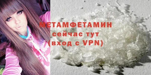 шишки Горняк