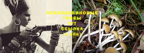 мяу мяу кристалл Горно-Алтайск