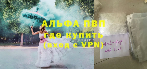 твердый Гусев