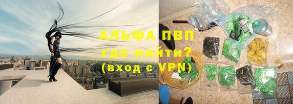 шишки Горняк